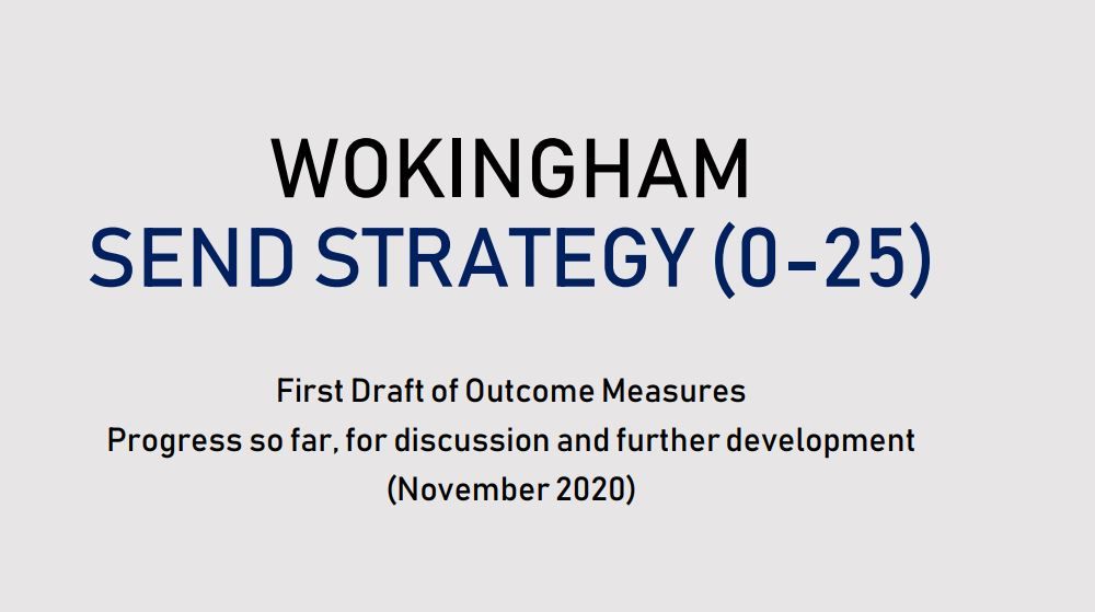 SEND Strategy 2020 OUTCOME MEASURES